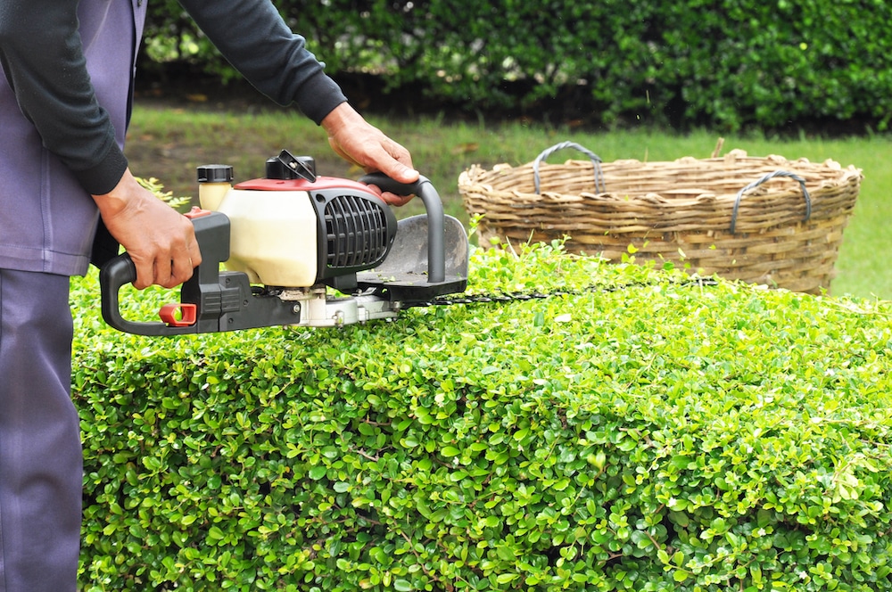 Hedge-Trimming