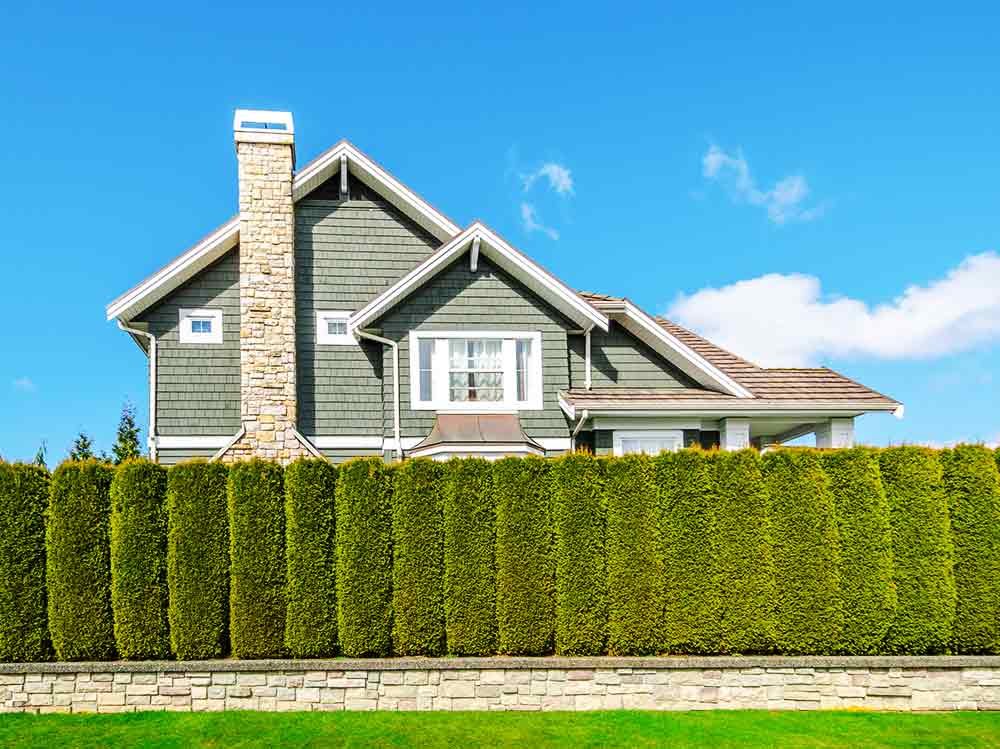 Benefits of Professional Hedge Trimming for Residential Properties