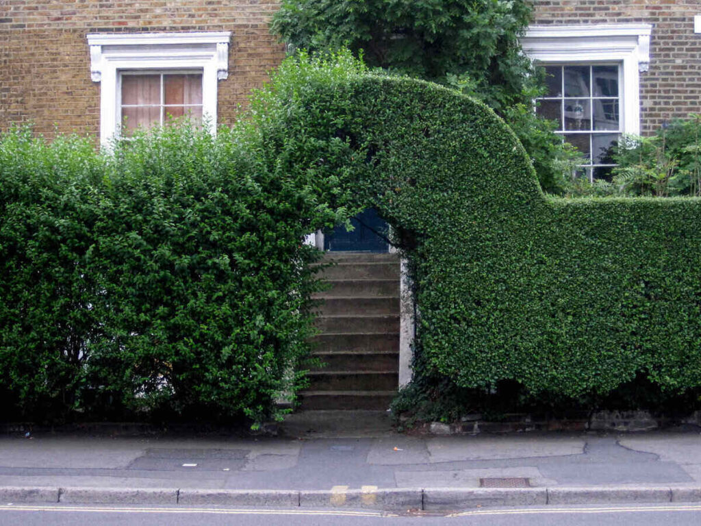 Hedge-Trimming