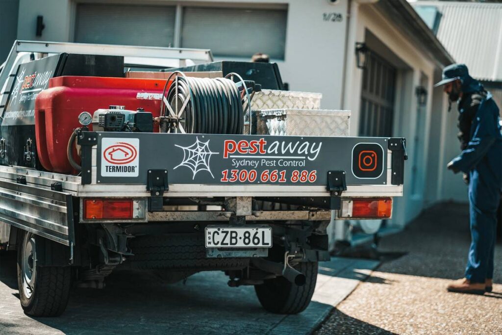 Termite Control Penrith